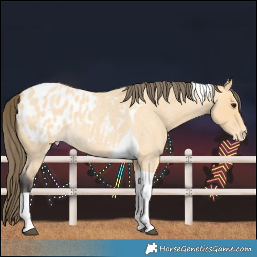 Horse Color:Buckskin Roan Tobiano Blanket 