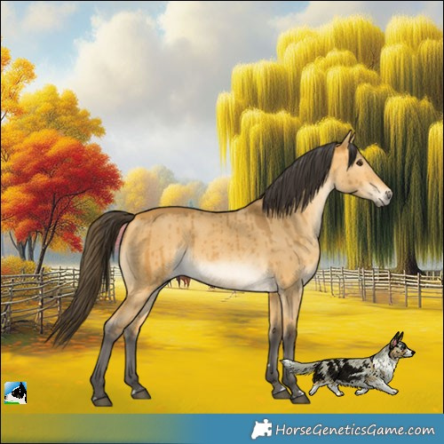 Horse Color:Buckskin Dun Brindle