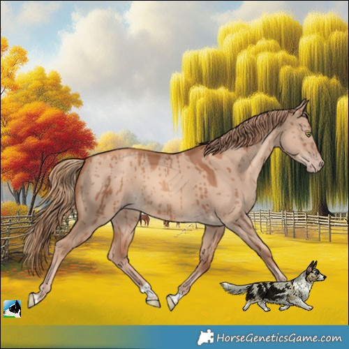 Horse Color:Gold Champagne Dun Brindle