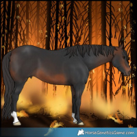 Horse Color:Brown 