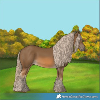Horse Color:Chocolate Palomino