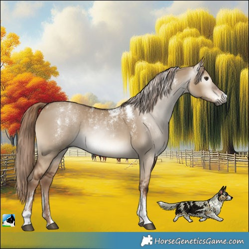 Horse Color:Powder White Gray Liver Red Dun Rabicano 