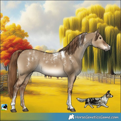Horse Color:Powder White Gray Liver Red Dun Rabicano 