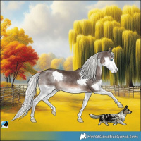 Horse Color:Liver Chestnut Mushroom Splash Rabicano