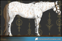 Horse Color:Buckskin Roan Near Leopard 