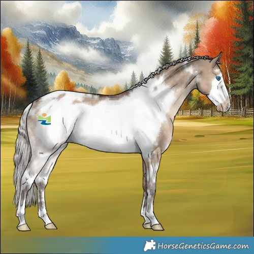 Horse Color:White Spotted Silver Brown Dun Frame Appaloosa Rabicano 