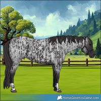 Horse Color:Smoky Black  and Smoky Blue Roan 