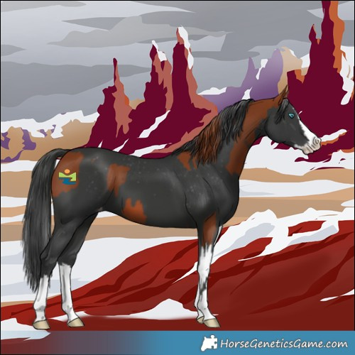 Horse Color:Chestnut Splash  and Black Splash Varnish 