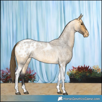 Horse Color:Buckskin Roan Tobiano Varnish 