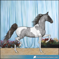 Horse Color:Smoky Blue Roan Tobiano Varnish 