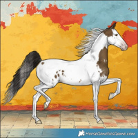 Horse Color:Gray Classic Cream Champagne Splash Tobiano Appaloosa 