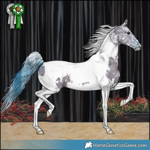 Horse Color:Watercolor White Spotted Grullo Ice Splash Tobiano