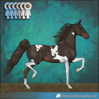 Horse Color:Liver Chestnut Tobiano 