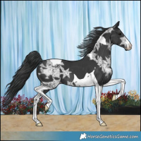 Horse Color:Black Ice Tobiano 