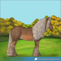 Horse Color:Chocolate Palomino 