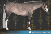 Horse Color:Platinum White Spotted Chocolate Palomino 