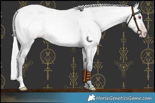 Horse Color:Platinum Silver Amber Champagne Chinchilla Roan Dun 
