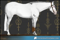 Horse Color:Platinum Silver Amber Champagne Chinchilla Roan Dun