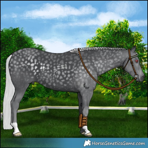 Horse Color:Platinum Silver Black Chinchilla 