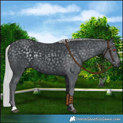 Horse Color:Platinum Silver Black Chinchilla 