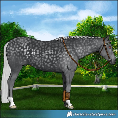 Horse Color:Platinum Silver Black Chinchilla 