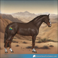 Horse Color:Liver Chestnut 