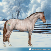 Horse Color:Red Roan