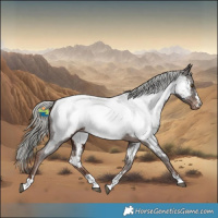 Horse Color:Liver Chestnut Mushroom Appaloosa