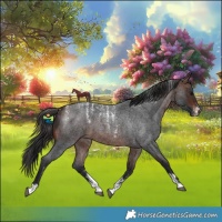 Horse Color:Powder White Brown Roan