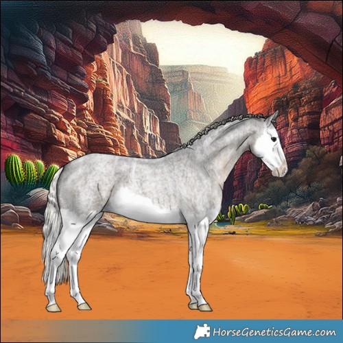 Horse Color:Silver Smoky Blue Ice Roan Splash 