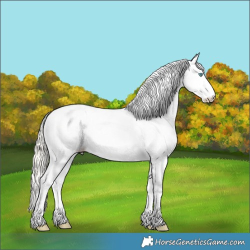 Horse Color:Palomino Pearl Dun Splash Appaloosa 