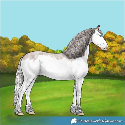 Horse Color:Silver Brown Ice Roan Splash 