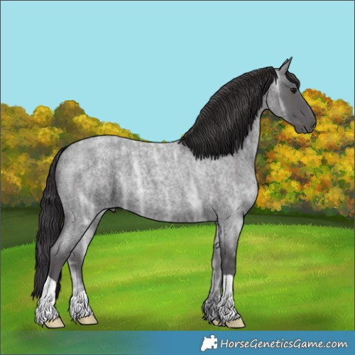 Horse Color:Smoky Blue Ice Roan 