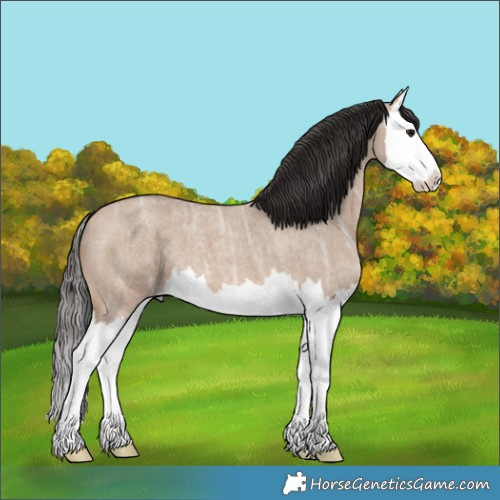 Horse Color:Bay Ice Roan Dun Splash 