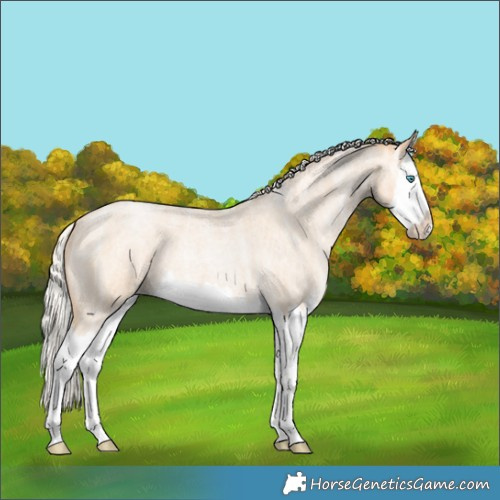 Horse Color:Silver Buckskin Ice Roan Pearl Splash 