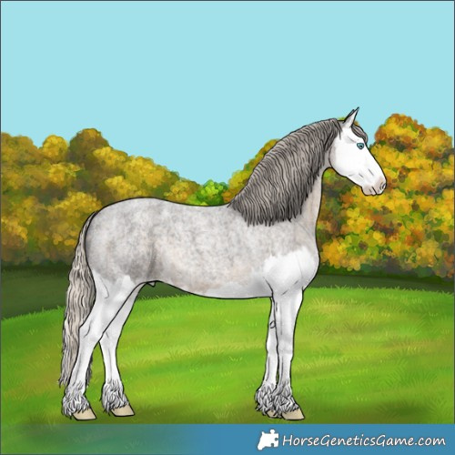 Horse Color:Silver Smoky Blue Ice Roan Splash