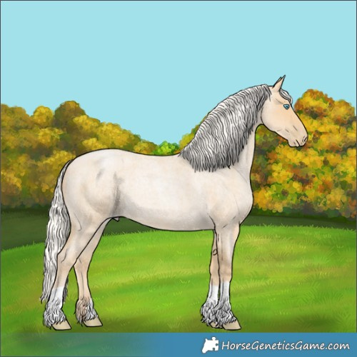 Horse Color:Silver Smoky Blue Roan Pearl 