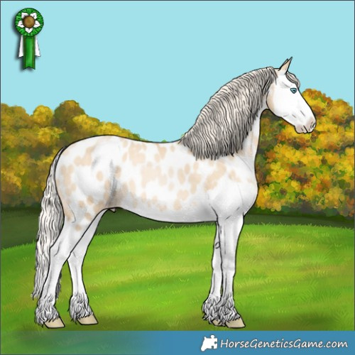 Horse Color:Palomino Pearl Dun Splash Appaloosa 