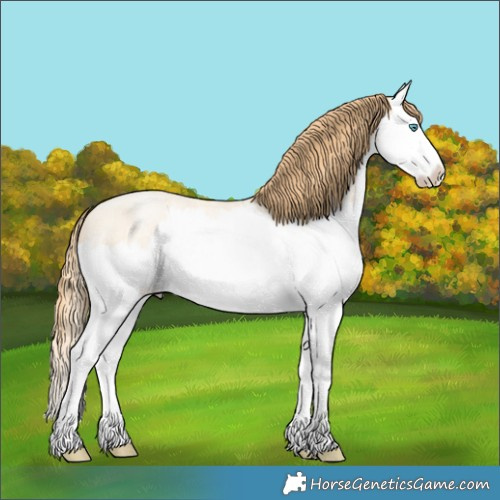 Horse Color:Buckskin Roan Pearl Dun Splash 