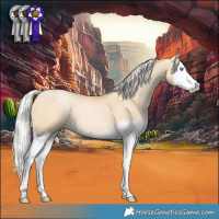Horse Color:Silver Buckskin Pearl Dun Splash 