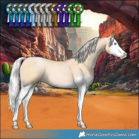 Horse Color:Silver Buckskin Pearl Dun Splash