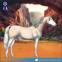 Horse Color:Silver Buckskin Pearl Dun Splash 