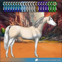 Horse Color:Silver Buckskin Pearl Dun Splash 