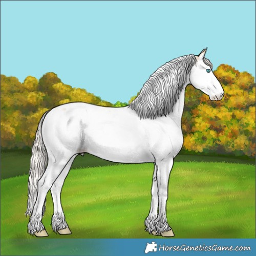 Horse Color:Palomino Pearl Dun Splash Tobiano 