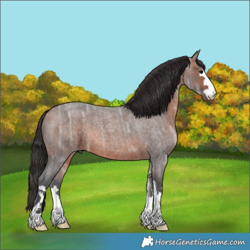 Horse Color:Brown Ice Roan 