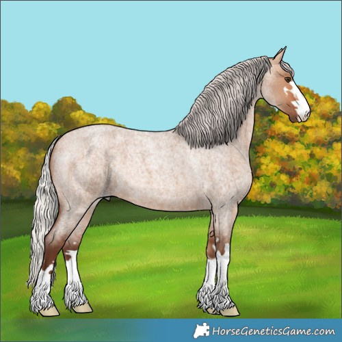 Horse Color:Silver Bay Roan Dun 