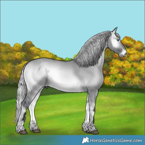 Horse Color:Silver Brown Chinchilla Onyx 
