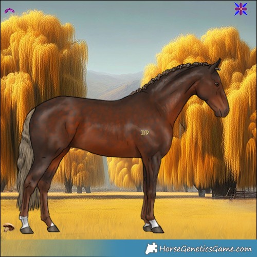 Horse Color:Liver Chestnut 