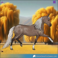 Horse Color:Liver Red Dun Mushroom Tobiano Rabicano