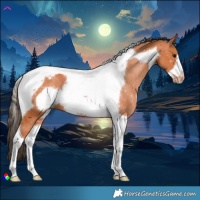 Horse Color:Bay Tobiano Frame Varnish 